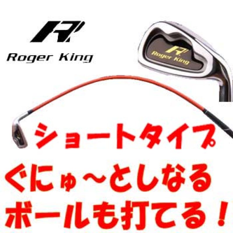 広田ゴルフ ロジャーキング スイングドクター アイアン