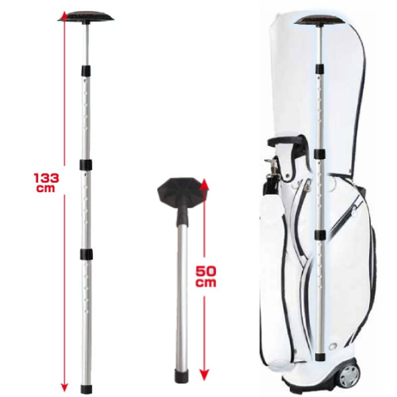 広田ゴルフ プロテクトポール