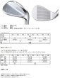 生鉄ウェッジ 詳細スペック表 ロフト 46度から60度 バウンス角 ライ角 NS PRO 950GH ダイナミックゴールド