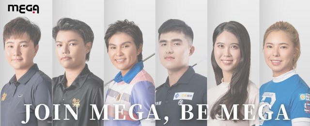 日本国産 MEGA JAPAN 秋冬 アンダーウェア インナーウェア