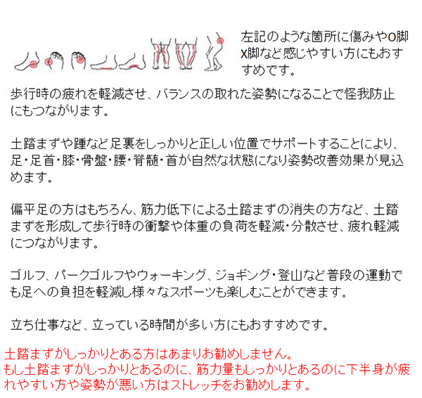 広田ゴルフ複合インソール アーチサポート