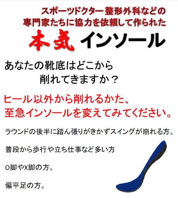 Hirota Golf Insole 広田ゴルフ 複合インソール  人生100年時代と言われる今日。 生涯現役でゴルフやスポーツを楽しんでほしいと本気で考えたインソール ( 中敷き )。 日本スポーツ協会公認スポーツドクター 整形外科医の柴原先生。 世界中で完全オーダーメイドのインソールを作り、某国代表選手などにも提供をし足元を支えてきた専門業者。 様々な専門家にお願いをして本気で作ったインソールです。   ラウンドの後半にも足に疲れがたまってしまい、スイングが崩れる方。 ウォーキングやランニング、ジョギング、また立ち仕事の多い方など、アーチサポートがしっかりとしているので足の疲れ軽減する目的の普段使いでもＯＫ。  偏平足の方は型崩れしにくく、しっかりとした土踏まずサポートで効果を発揮できるでしょう。 また、ヒール ( かかと ) カップがしっかり固定して姿勢矯正効果もあり、Ｏ脚 Ｘ脚や腰や膝など疲れがたまりやすい方などにもお勧めです。  送料無料キャンペーン中ですが、北海道・沖縄・離島はキャンペーン対象外となりますのでご理解願います。