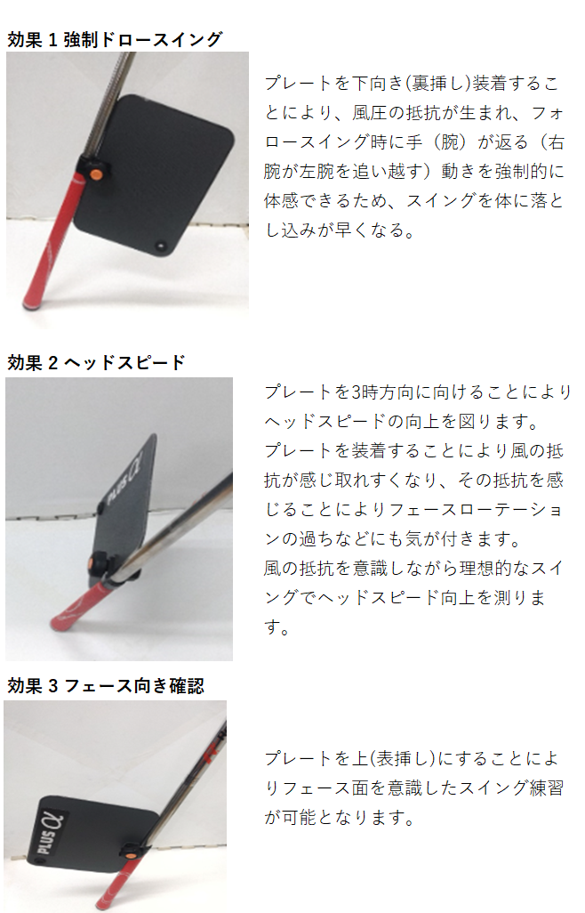 広田ゴルフ ロジャーキング パターヒッター2 プラスアルファ